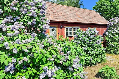 8 persone case ad GOTLANDS.TOFTA