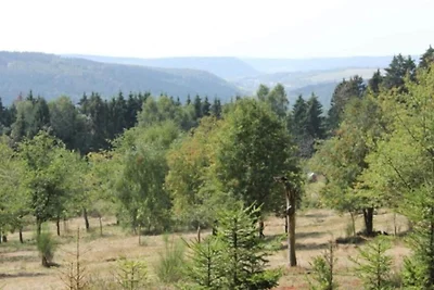 Familienaufenthalt im Suhler Wald