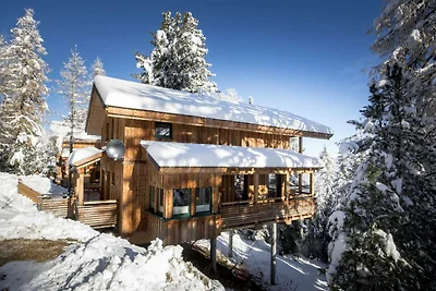 Sfeervol chalet met infraroodsauna