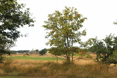 4 star holiday home in Halmstad