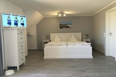 Darss vakantie met en zonder hond