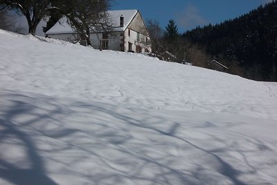 Charmant vakantiehuis vlakbij de skipistes