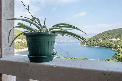 Apartments Darija - Studio Apartment with Sea...