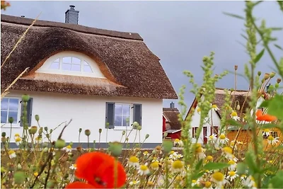Ferienhaus in Zierow mit Schwimmbecken