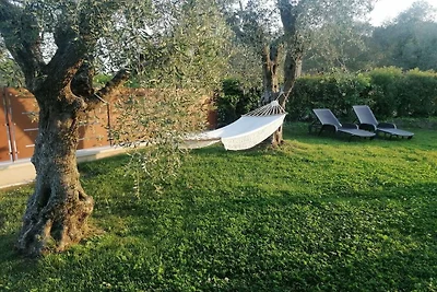 Sunflower Apartment