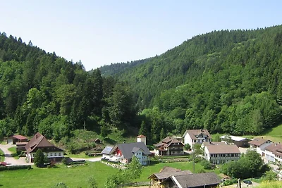 Vakantiehuis Ontspannende vakantie Bad Rippoldsau-Schapbach