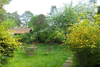 Wonen op het platteland