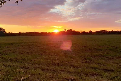 6 persoons vakantie huis in Væggerløse