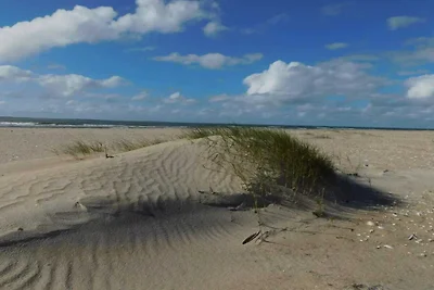 25 Personen Ferienhaus in Rømø-By Traum