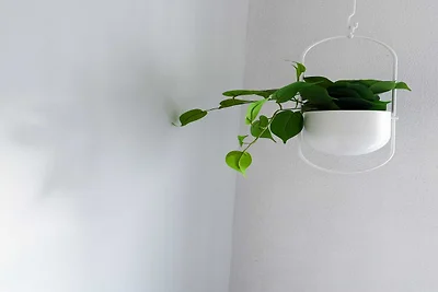 Camera accogliente in un accogliente appartam...