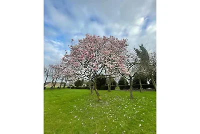 Französisches Chalet: Whirlpool, Terrasse,...