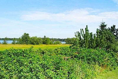 6 Personen Ferienhaus in Ansager-By Traum