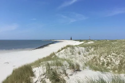 Lagune am Wattenmeer auf Wangerooge