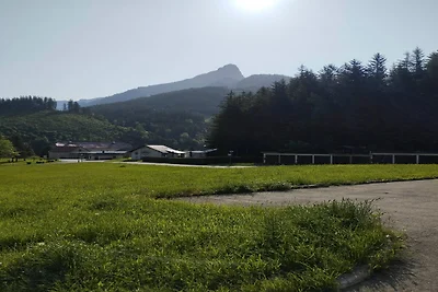 Appartamento in Stiria con sauna a infrarossi