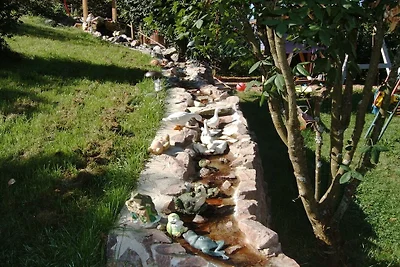 Haldenhäusle  Schwarzwald