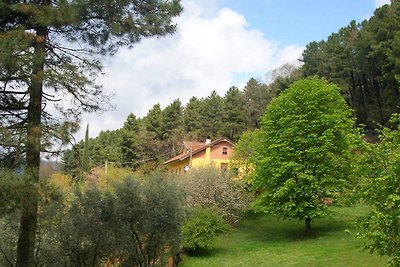 Modernes Ferienhaus in Pescia, Toskana mit...