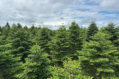 4 Personen Ferienhaus in Hovborg-By Traum