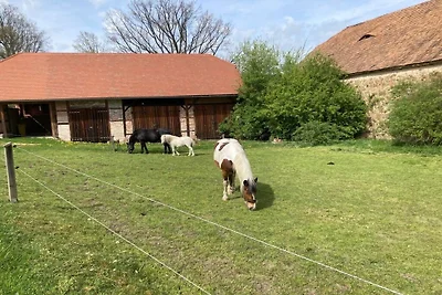 Ferienhaus in Herrnhut mit Barbecue