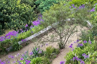 Ker Nelly · magnifico castello