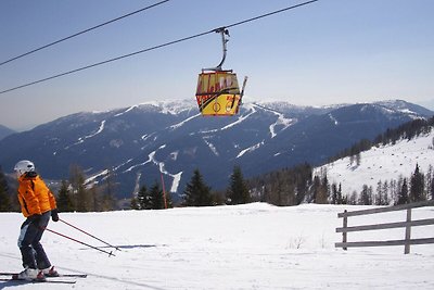 Gemütliches Appartment neben Skipiste