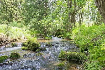 Mooi vakantiehuis met een natuurlijke beek om...