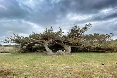 Gemutliches Strandhaus in Rageleje -- By Trau...