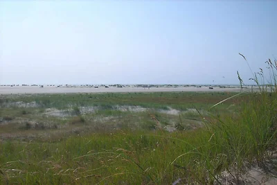 Ruhiger Ruckzug in Romo -- By Traum...