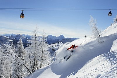 Appartement in ski- en wandelgebied in...