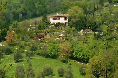 Graziosa casa vacanze in riva al lago
