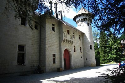 Renovierte Schlosswohnung mit Swimmingpool