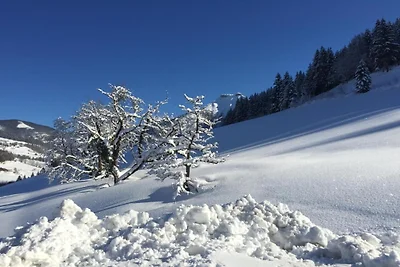 Wohnung in Mittersill nahe Skipisten