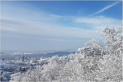 Panorama vakantieappartement Sonnenberg