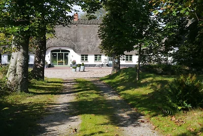 Ferienhaus in Schlei mit 2 Schlafzimmer