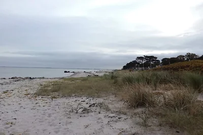 4 Sterne Ferienhaus in Otterup-By Traum