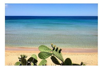 Ferienhaus in NOTO mit Schwimmbecken