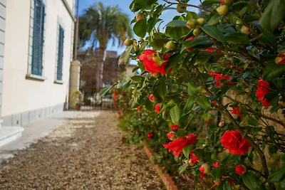 Wohnung in Lucca nahe Villa Bottini
