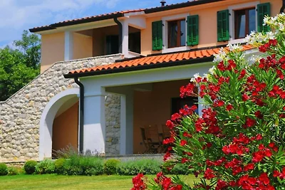 Villa in Koromacno mit Barbecue und Wifi