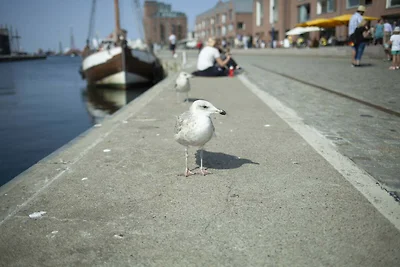 Bungalow in Stove/Boiensdorf für zwei...