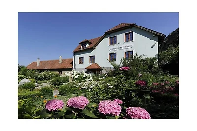 Ferienwohnung in Dürnstein mit Wifi