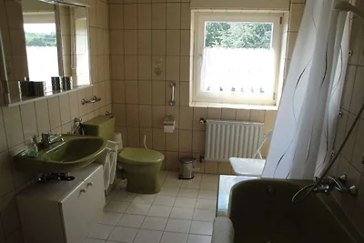 Ferienwohnung in Roetgen mit Balkon