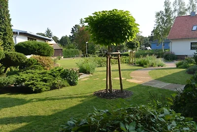 Altschulze "Panorama"
