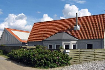 4 Sterne Ferienhaus in Blokhus