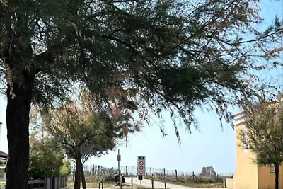 Die Beachside-Kokette