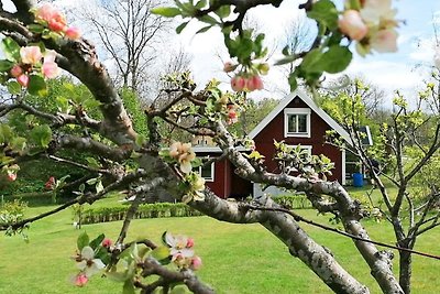 4 Personen Ferienhaus in Holmsjö-By Traum