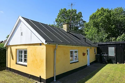 4 Personen Ferienhaus in Asaa-By Traum