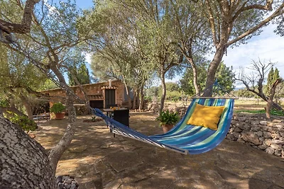 Can Pina - Eco Groc - - Apartment In Costitx