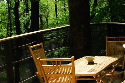 Schimpansenh�tte f�r 4 Personen