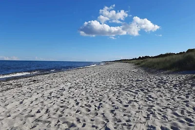 4 Sterne Ferienhaus in Væggerløse-By Traum