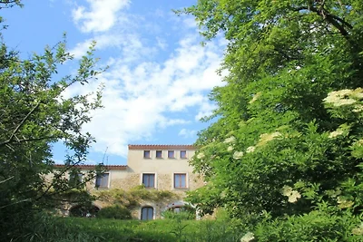 Syrah - Domaine La Flotte