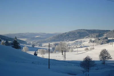 Haldenhäusle  Schwarzwald